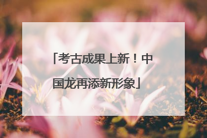 考古成果上新！中国龙再添新形象